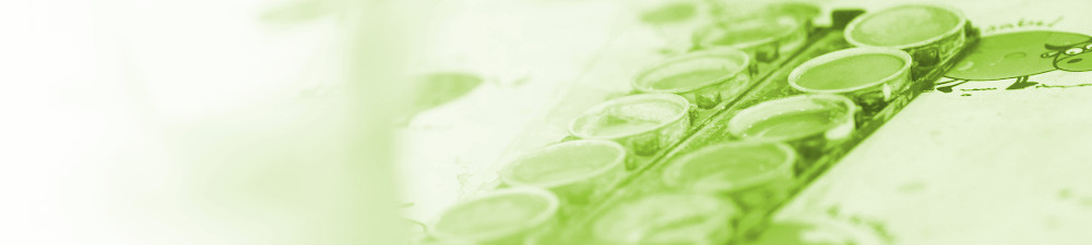 Impressum - Haus der kleinen Füße